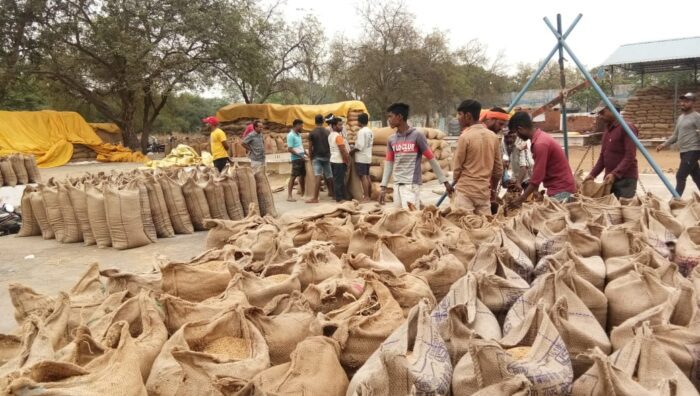 CG Paddy Purchasing : राज्य में 103 लाख 40 हजार मीट्रिक टन धान का उठाव